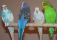 /album/fenykepgaleria/images-7-jpg/